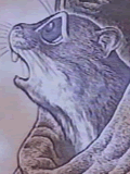 ɭ�ִ�˵