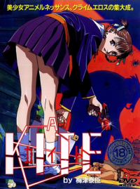����A KITE
