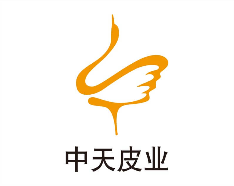 中天皮業(yè)logo設(shè)計(jì)
