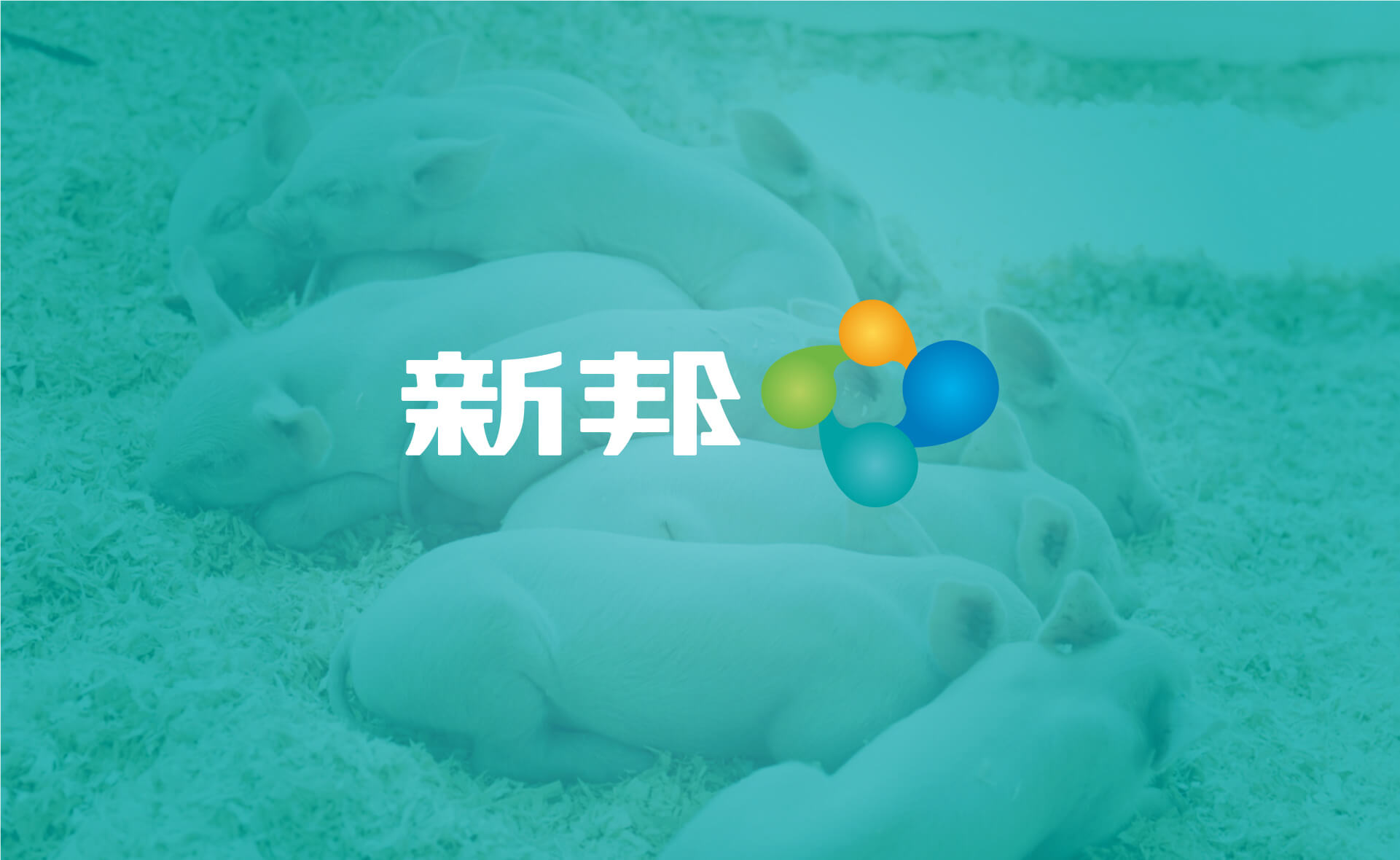 1683281736505982.jpg 新邦-18.jpg