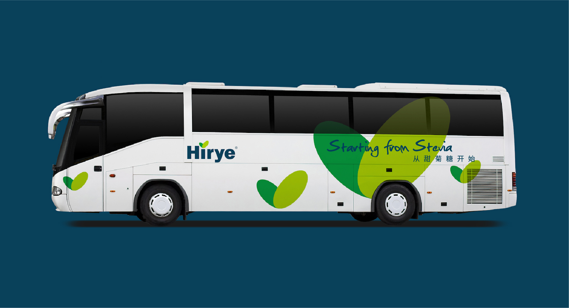  浩瑞甜菊糖-碩谷設(shè)計(jì)-上海vi設(shè)計(jì)-上海logo設(shè)計(jì)-品牌設(shè)計(jì)-標(biāo)志設(shè)計(jì)-畫冊設(shè)計(jì)--logo 設(shè)計(jì)-品牌策劃-高端設(shè)計(jì)-碩谷品牌設(shè)計(jì)-30-30.jpg